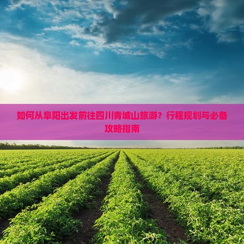 如何从阜阳出发前往四川青城山旅游？行程规划与必备攻略指南