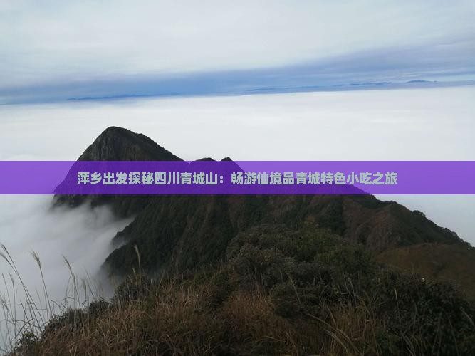 萍乡出发探秘四川青城山：畅游仙境品青城特色小吃之旅