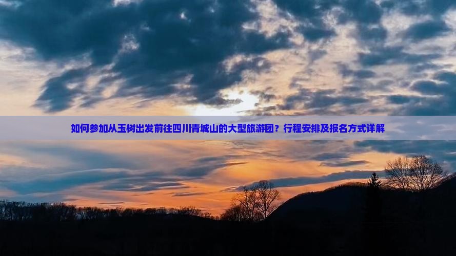如何参加从玉树出发前往四川青城山的大型旅游团？行程安排及报名方式详解