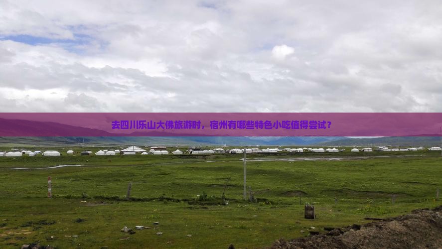 去四川乐山大佛旅游时，宿州有哪些特色小吃值得尝试？