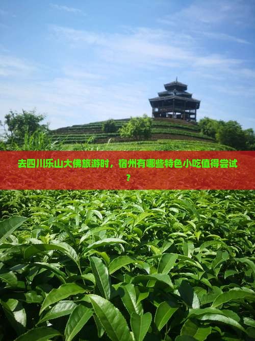 去四川乐山大佛旅游时，宿州有哪些特色小吃值得尝试？