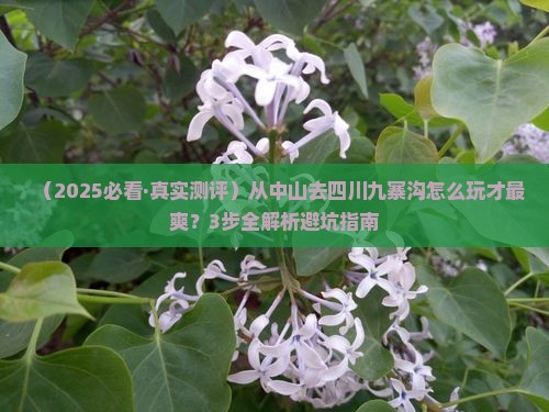 中山到四川九寨沟攻略