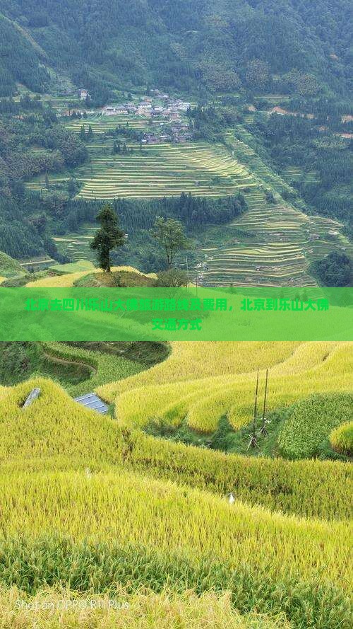 北京去四川乐山大佛旅游