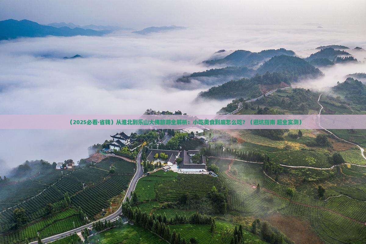 淮北去四川乐山大佛旅游小吃