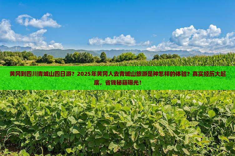 黄冈到四川青城山四日游