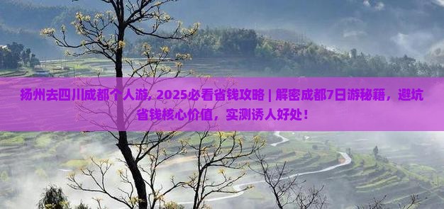 扬州去四川成都个人游