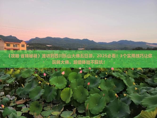 潍坊到四川乐山大佛五日游