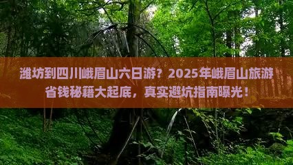潍坊到四川峨眉山六日游