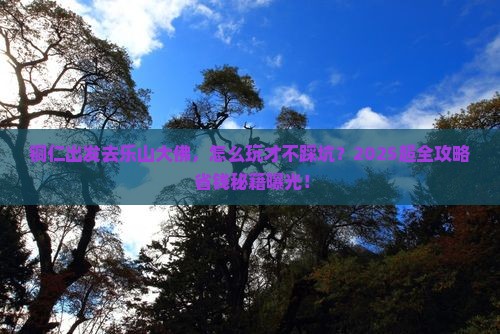 铜仁去四川乐山大佛团体旅游