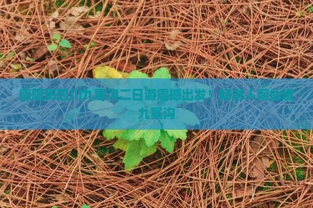 德阳到四川九寨沟二日游