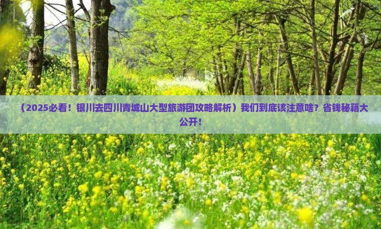 银川去四川青城山大型旅游团