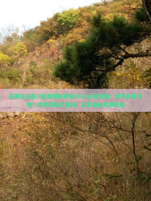 石家庄去四川成都团体旅游