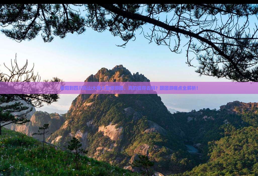 襄阳到四川乐山大佛大型旅游团
