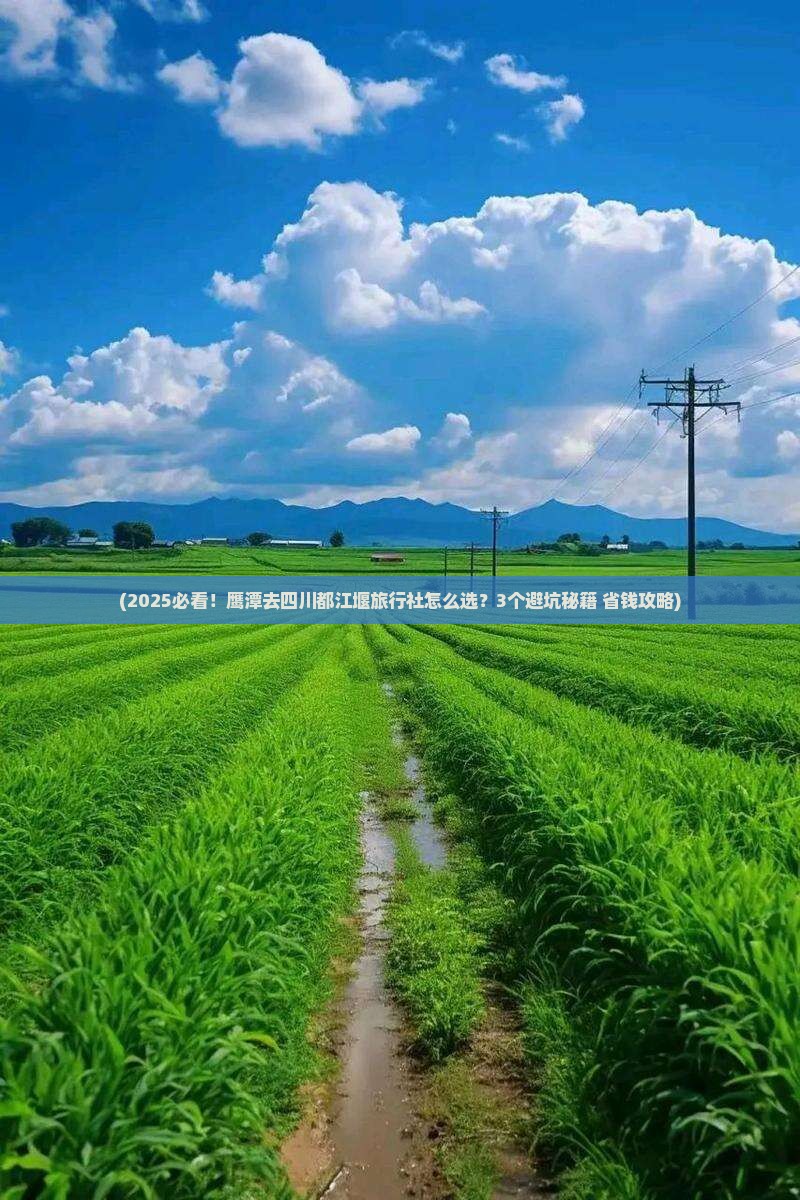 鹰潭去四川都江堰旅行社