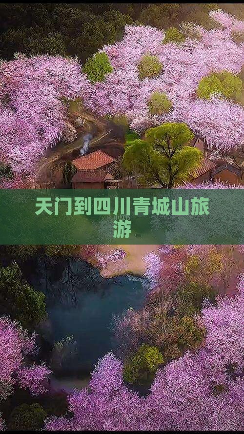 天门到四川青城山旅游