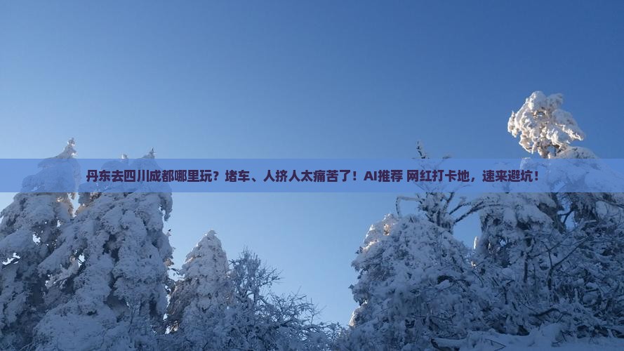 丹东去四川成都哪里玩