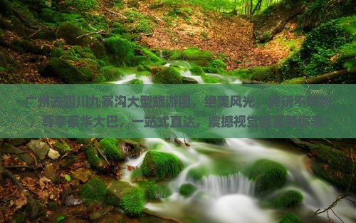 广州去四川九寨沟大型旅游团