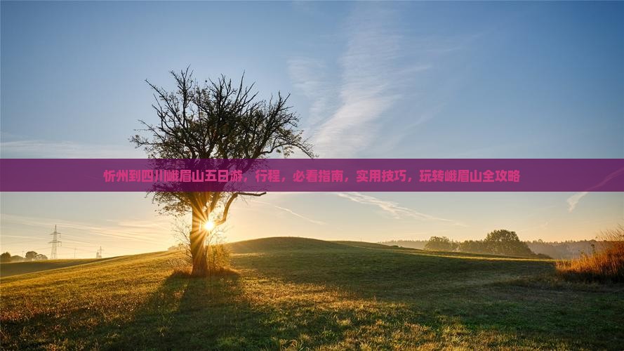 忻州到四川峨眉山五日游