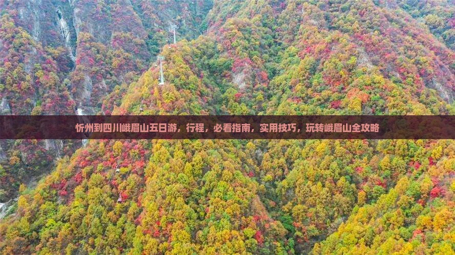 忻州到四川峨眉山五日游