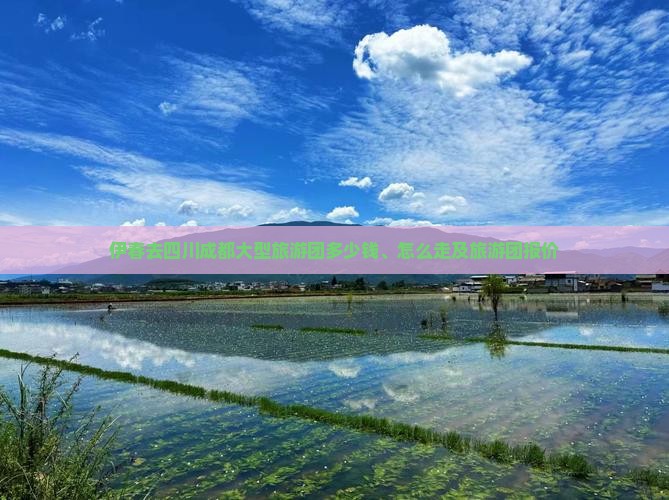 伊春去四川成都大型旅游团