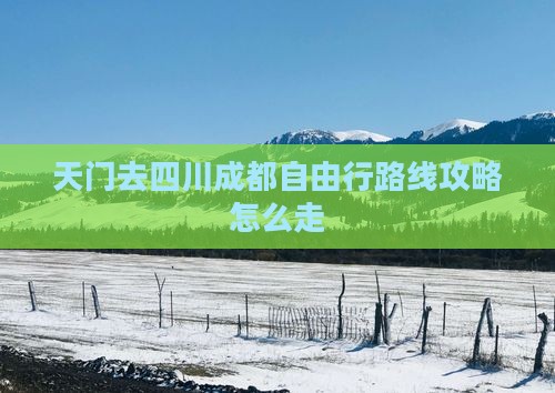 天门去四川成都自由行