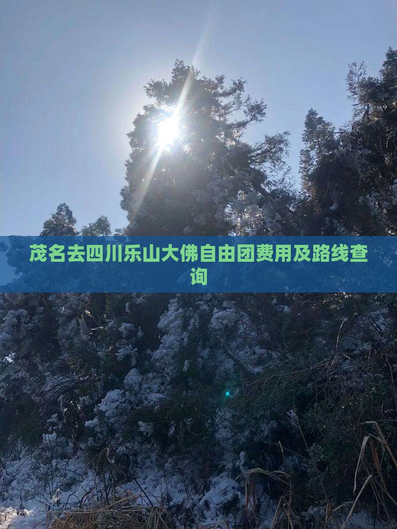 茂名去四川乐山大佛自由团