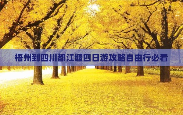 梧州到四川都江堰四日游