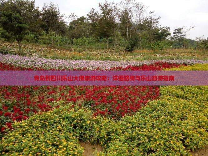 青岛到四川乐山大佛旅游