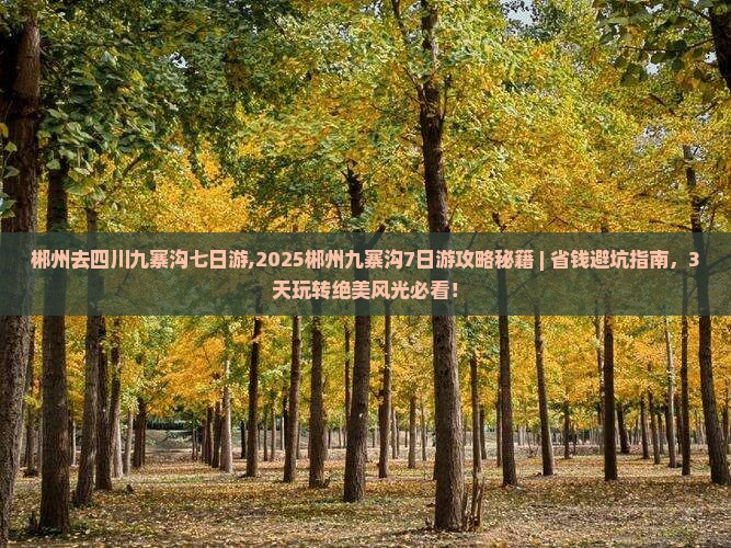 郴州去四川九寨沟七日游