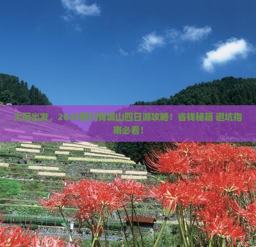 大同去四川青城山四日游