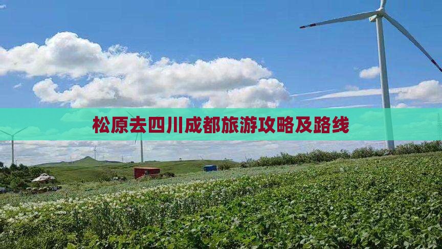 松原去四川成都旅游