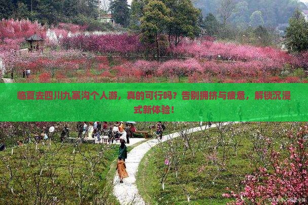 临夏去四川九寨沟个人游