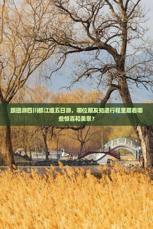 白山去四川都江堰五日游