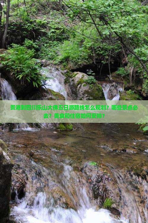 贵港到四川乐山大佛五日游
