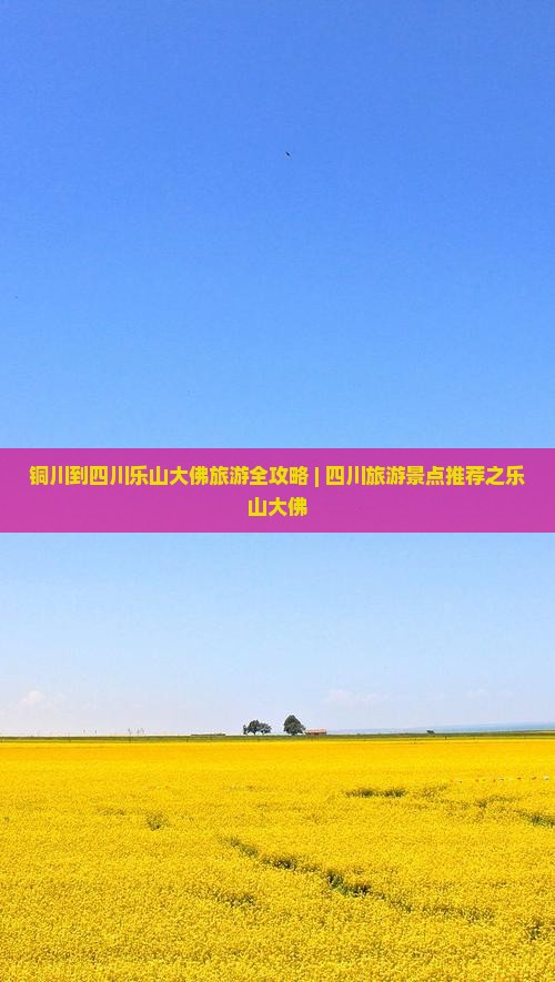 铜川去四川乐山大佛旅游