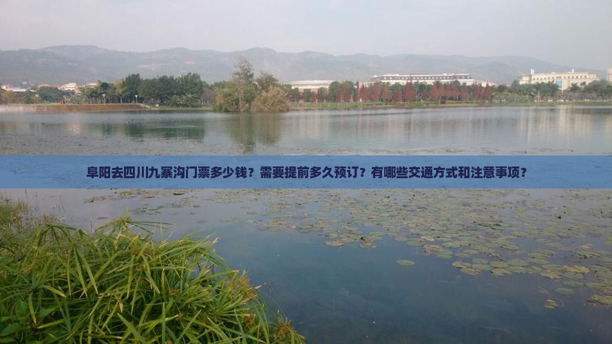 阜阳去四川九寨沟门票