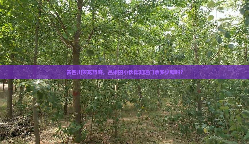 吕梁去四川黄龙门票