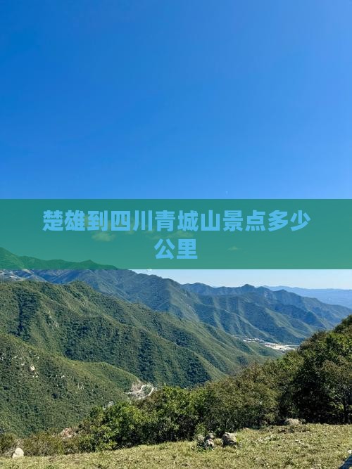 楚雄到四川青城山景点