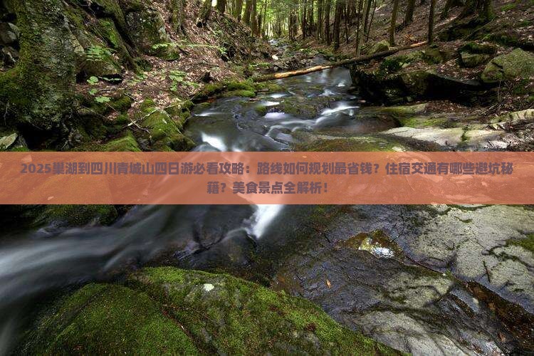巢湖到四川青城山四日游