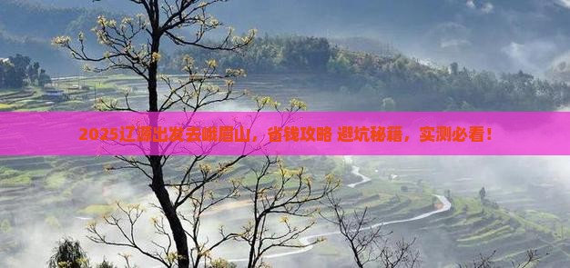 辽源到四川峨眉山景点