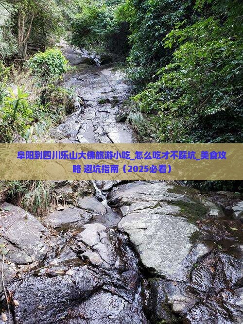 阜阳到四川乐山大佛旅游小吃