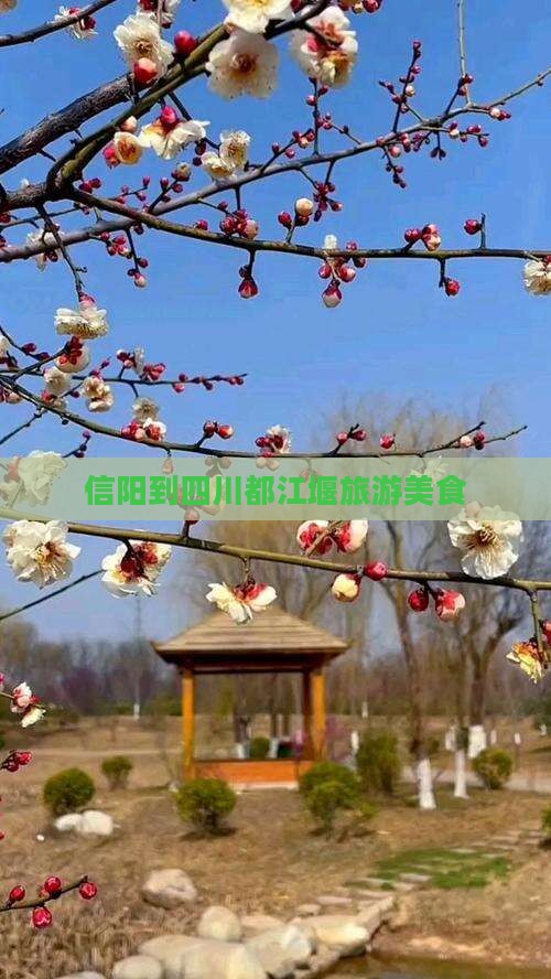 信阳到四川都江堰旅游小吃