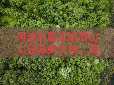 河池到四川峨眉山七日游