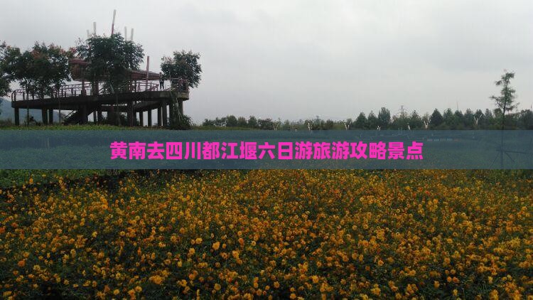 黄南去四川都江堰六日游