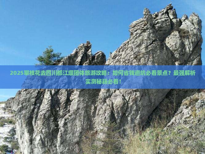 攀枝花去四川都江堰团体旅游
