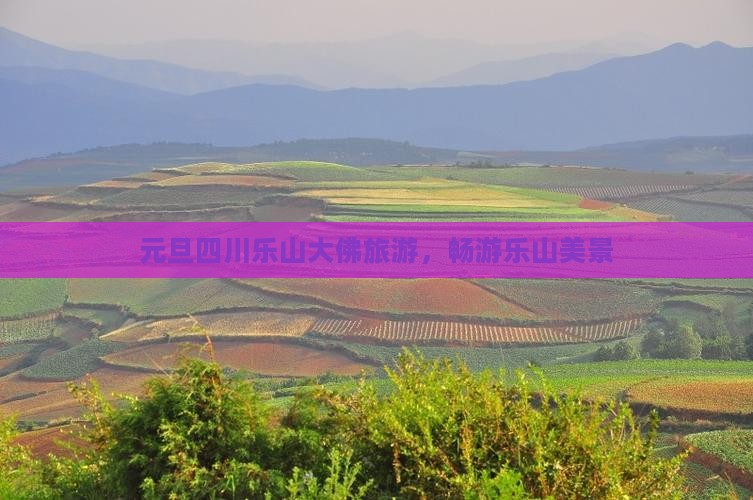元旦到四川乐山大佛旅游