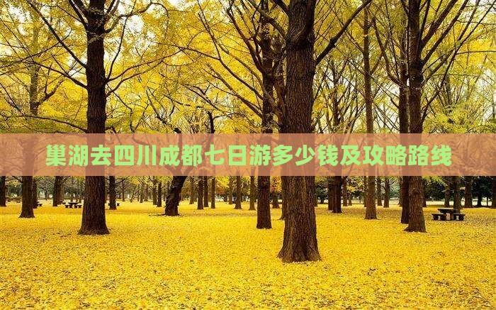 巢湖去四川成都七日游