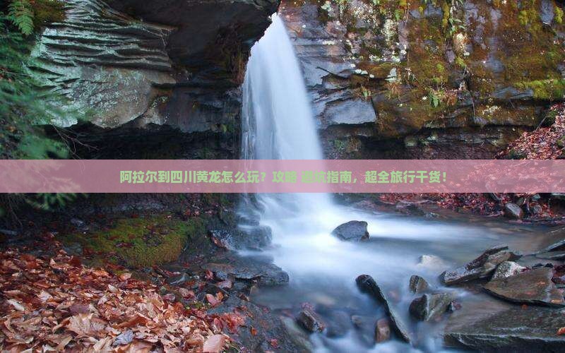 阿拉尔到四川黄龙哪里玩
