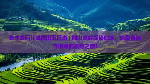 长沙去四川峨眉山五日游