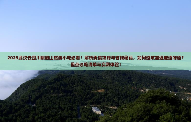 武汉去四川峨眉山旅游小吃